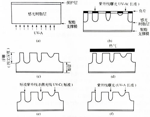 固體感光樹脂柔性版的制作工藝